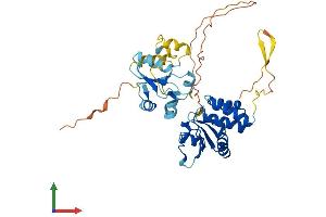 Protein Structure (PS) image for Dual Specificity Phosphatase 6 (DUSP6) (AA 1-381) protein (His tag) (ABIN7561270)