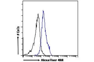 (ABIN184909) Flow cytometric analysis of paraformaldehyde fixed HEK293 cells (blue line), permeabilized with 0.