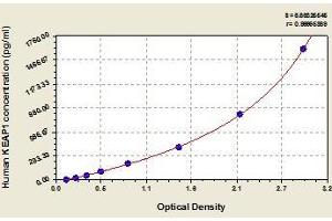 Typical standard curve (KEAP1 ELISA Kit)