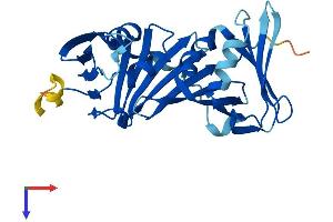 RAD1 Protein (AA 1-280) (His tag)