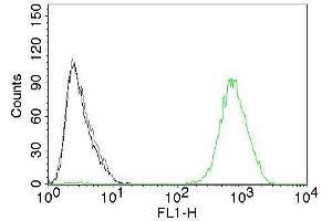 Flow Cytometry of human EGFR on A431 cells. (EGFR antibody  (Extracellular Domain) (CF®488A))