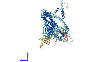 AlphaFold protein structure predicition of Human Recombinant ECT2L Protein, UniprotID Q008S8 (ECT2L Protein (AA 1-904) (His tag))