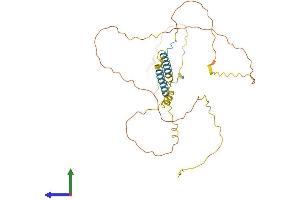 AlphaFold protein structure predicition of Human Recombinant BSND Protein, UniprotID Q8WZ55