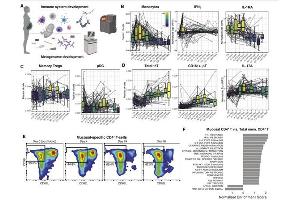Flow Cytometry (FACS) image for 0.5 M EDTA pH 8.0 (ABIN925554)