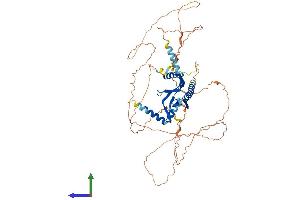 AlphaFold protein structure predicition of Human Recombinant DCP1A Protein, UniprotID Q9NPI6 (DCP1A Protein (AA 1-582) (His tag))