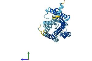 AlphaFold protein structure predicition of Human Recombinant OR52E1 Protein, UniprotID Q8NGJ3 (OR52E1 Protein (AA 1-308) (His tag))