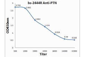 Antigen: 0. (Pleiotrophin antibody  (AA 101-168))