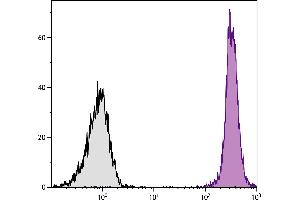 Flow Cytometry (FACS) image for anti-Protein tyrosine Phosphatase, Receptor Type, C (PTPRC) antibody (APC) (ABIN375790)
