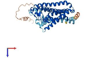Olfactory Receptor, Family 2, Subfamily T, Member 4 (OR2T4) (AA 1-348) protein (His tag)