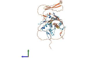 AlphaFold protein structure predicition of Human Recombinant ZNF410 Protein, UniprotID Q86VK4