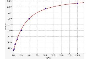 Actin ELISA Kit