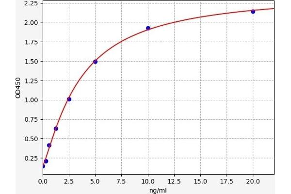 Actin ELISA Kit