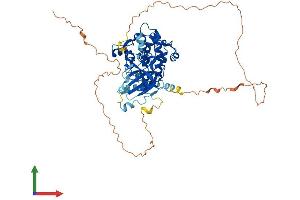 Protein Structure (PS) image for Ribosomal Protein S6 Kinase, 70kDa, Polypeptide 1 (RPS6KB1) (AA 1-525) protein (His tag) (ABIN7564418)
