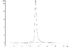 Size-exclusion chromatography-High Pressure Liquid Chromatography (SEC-HPLC) image for Periostin (POSTN) (AA 24-811) protein (His tag) (ABIN7275382)