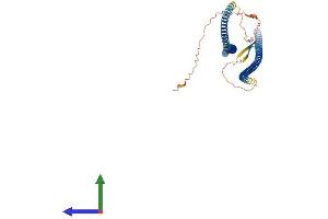 AlphaFold protein structure predicition of Human Recombinant DES Protein, UniprotID P17661 (Desmin Protein (DES) (AA 1-470) (His tag))