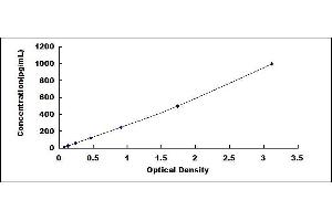 Typical standard curve (IL-22 ELISA Kit)