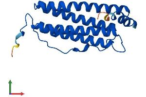 Protein Structure (PS) image for Ferritin, Heavy Polypeptide 1 (FTH1) (AA 1-183) protein (His tag) (ABIN7547748)