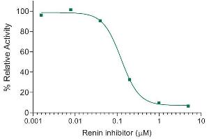 Activity Assay (AcA) image for SensoLyte® 520 Mouse Renin Assay Kit (ABIN1882547) (SensoLyte® 520 Mouse Renin Assay Kit)