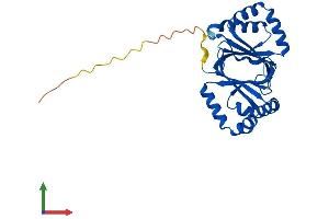 Protein Structure (PS) image for Nipsnap Homolog 3B (NIPSNAP3B) (AA 1-247) protein (His tag) (ABIN7560533)
