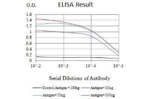 Black line: Control Antigen (100 ng),Purple line: Antigen (10 ng), Blue line: Antigen (50 ng), Red line:Antigen (100 ng) (Asialoglycoprotein Receptor 2 antibody  (AA 80-311))
