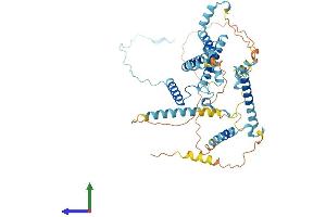 AlphaFold protein structure predicition of Mouse Recombinant Utp3 Protein, UniprotID Q9JI13 (UTP3 Protein (AA 1-469) (His tag))
