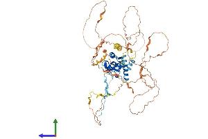 AlphaFold protein structure predicition of Human Recombinant TRAF3IP2 Protein, UniprotID O43734 (TRAF3IP2 Protein (AA 1-574) (His tag))