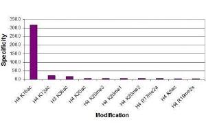 Histone H4K16ac antibody (pAb) specificity tested by peptide array analysis. (Histone H4 antibody  (acLys16))