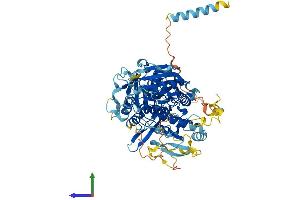 AlphaFold protein structure predicition of Mouse Recombinant Extl1 Protein, UniprotID Q9JKV7