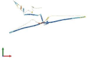 AlphaFold protein structure predicition of Human Recombinant CFAP45 Protein, UniprotID Q9UL16 (CCDC19 Protein (AA 1-551) (His tag))