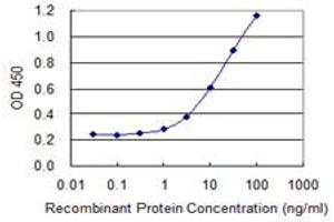 Detection limit for recombinant GST tagged TSC22D3 is 0. (TSC22D3 antibody  (AA 1-77))