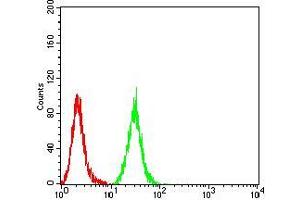 Flow cytometric analysis of Hela cells using MIB1 mouse mAb (green) and negative control (red). (MIB1 antibody  (AA 6-221))