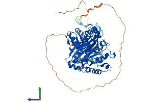 Protein Structure (PS) image for Molybdenum Cofactor Synthesis 1 (MOCS1) (AA 1-636) protein (His tag) (ABIN7557516)