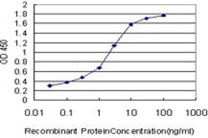 Detection limit for recombinant GST tagged PIP5K1C is approximately 0. (PIP5K1C antibody  (AA 561-667))