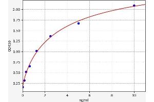 RBP1 ELISA Kit