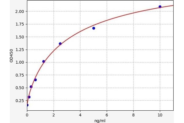 RBP1 ELISA Kit