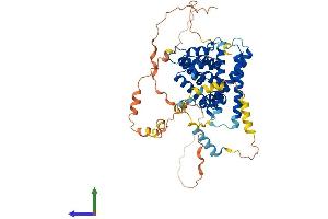 AlphaFold protein structure predicition of Human Recombinant TOM1 Protein, UniprotID O60784 (TOM1 Protein (AA 1-492) (His tag))