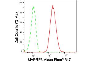 Flow cytometric analysis of MAPRE3 expression in HepG2 cells using MAPRE3 antibody (ABIN7799412), 1:2,000). (Recombinant MAPRE3 antibody)