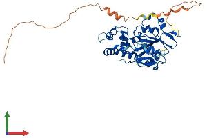 AlphaFold protein structure predicition of Human Recombinant HS3ST6 Protein, UniprotID Q96QI5 (Heparan Sulfate (Glucosamine) 3-O-Sulfotransferase 6 (HS3ST6) (AA 1-342) protein (His tag))
