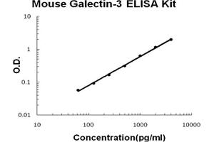 Mouse Galectin-3/LGALS3 Accusignal ELISA Kit Mouse Galectin-3/LGALS3 AccuSignal ELISA Kit standard curve.