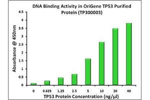 Bioactivity measured with Activity Assay (p53 Protein (Transcript Variant 1) (Myc-DYKDDDDK Tag))