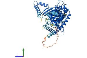 AlphaFold protein structure predicition of Mouse Recombinant Mbtps2 Protein, UniprotID Q8CHX6 (MBTPS2 Protein (AA 1-515) (His tag))