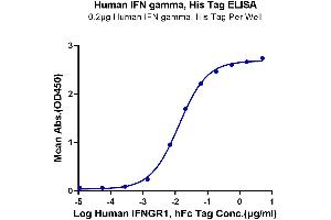 Immobilized Human IFN gamma, His Tag at 2 μg/mL (100 μL/well) on the plate. (Interferon gamma Protein (IFNG) (His-Avi Tag))