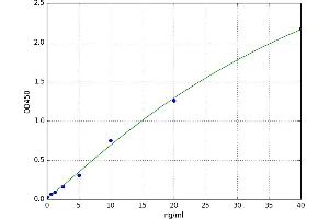 A typical standard curve