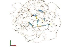 Protein Structure (PS) image for SET Binding Protein 1 (SETBP1) (AA 1-1582) protein (His tag) (ABIN7565269)