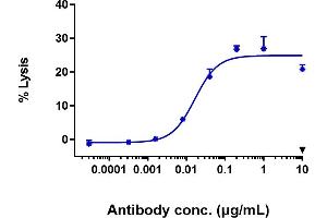 anti-FGFR2 (Bemarituzumab Biosimilar) antibody