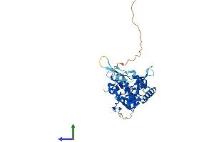 AlphaFold protein structure predicition of Human Recombinant LMCD1 Protein, UniprotID Q9NZU5