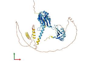 AlphaFold protein structure predicition of Mouse Recombinant Celf1 Protein, UniprotID P28659