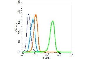 Human U251 cells probed with APJ Receptor Polyclonal Antibody, Unconjugated  (green) at 1:100 for 30 minutes followed by a PE conjugated secondary antibody compared to unstained cells (blue), secondary only (light blue), and isotype control (orange). (Apelin Receptor antibody  (AA 52-66))