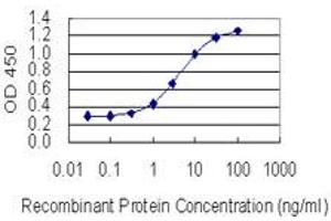 Detection limit for recombinant GST tagged KIF21B is 0. (KIF21B antibody  (AA 1183-1282))