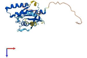 AlphaFold protein structure predicition of Mouse Recombinant Rabl3 Protein, UniprotID Q9D4V7 (RABL3 Protein (AA 1-236) (His tag))